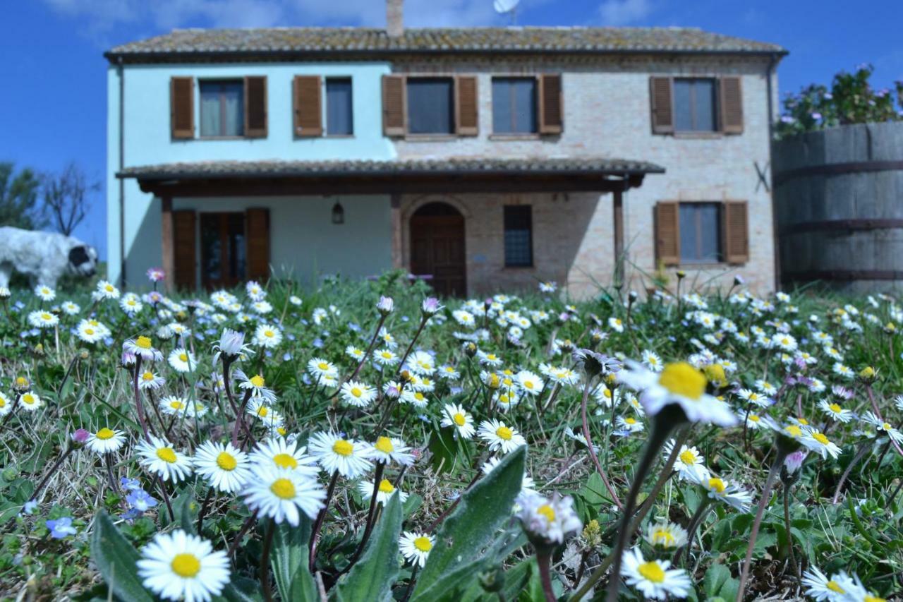 B&B Le Tamerici San Giorgio di Pesaro Exteriér fotografie